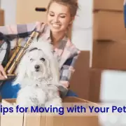 Moving Homes with Pets: The Complete Guide