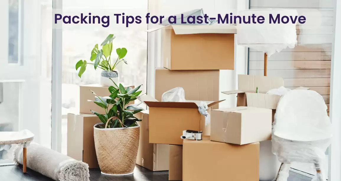 Packing for a Last-Minute Move: Tips for a Quick and Efficient Packing Process