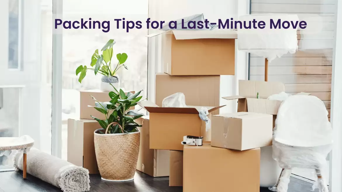 Packing for a Last-Minute Move: Tips for a Quick and Efficient Packing Process